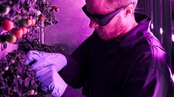 Hoy en día, la gran