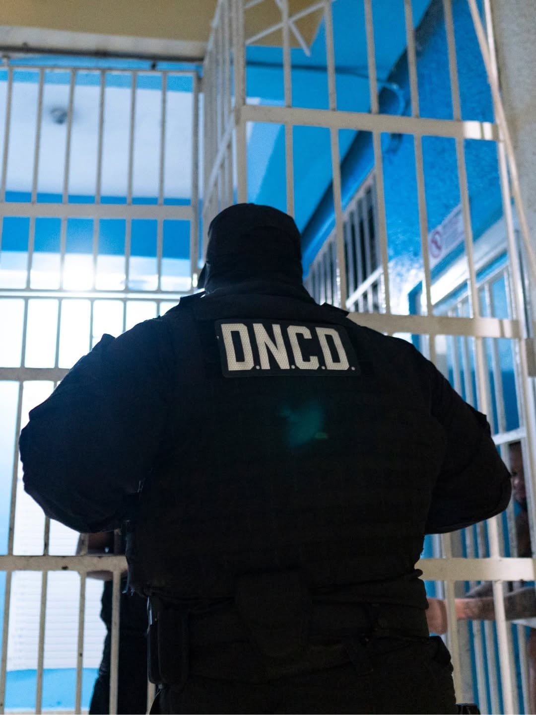 Los dos arrestados quedaron bajo la custodia de Interpol Santo Domingo a la espera de las vistas judiciales de extradición. (Foto cortesía Dirección de Área Interpol Santo Domingo)