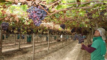 Existe una demanda de 348