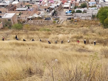 Colectivos trabajan en las faldas