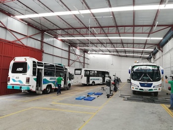 Imagen de referencia - La