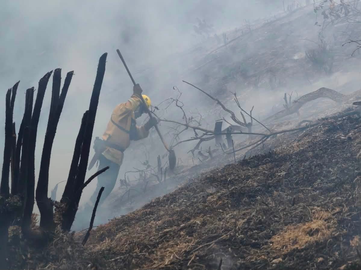 Bomberos de Popayán lograron controlar el 60 % del incendio más extenso registrado en la vereda Bajo Charco, aunque la zona de cañón permanece activa por riesgo y condiciones de seguridad - crédito Benemérito Cuerpo de Bomberos Voluntarios de Popayán / Facebook