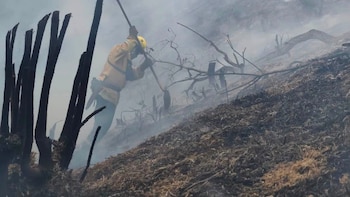 Colombia enfrenta 15 incendios forestales activos, nueve en Tolima; Cali reportó más de 70 hectáreas quemadas y dos bomberos lesionados