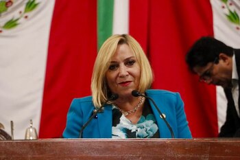 La diputada Olivia Garza propone