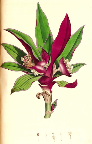 En el sureste mexicano se