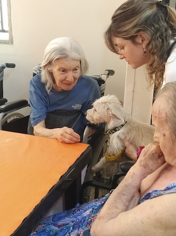 Los perros son animales óptimos