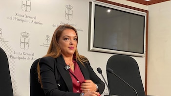 Vox tacha el plan de