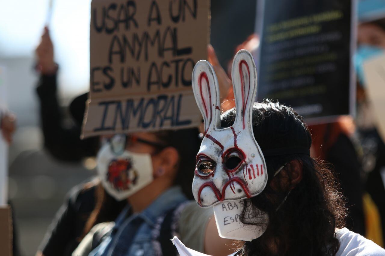 Según The Vegan Society, más de 79 millones de personas en el mundo son veganas (Graciela López/cuartoscuro.com)