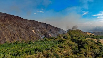 Gobernación de Tolima militarizará zonas de incendios por indicios de intervención humana en las conflagraciones: “La Primera Línea ha hecho presencia”