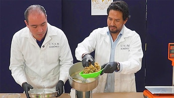 El Sargapanel utiliza yeso y