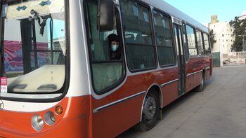 Ella es conductora desde 2016,