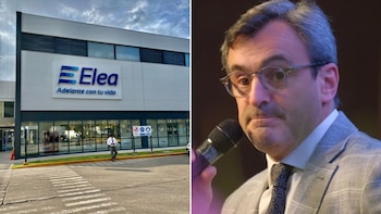 planta de Elea
