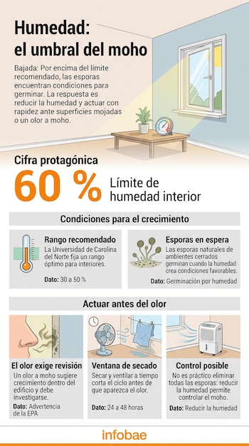 Infografía sobre humedad y moho con gráficos de un termómetro, una ventana abierta, esporas, una persona oliendo moho y un deshumidificador.