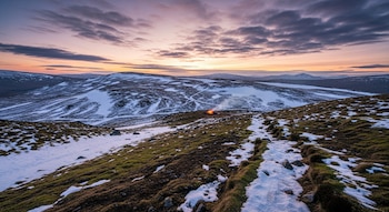 Las aves de montaña migran