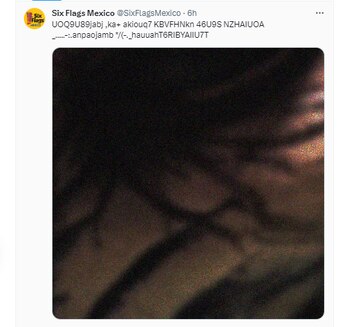 La última publicación incluyó una