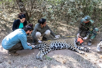 Imagen XKHHPVXB7JDIPL3XY333JRC2WE