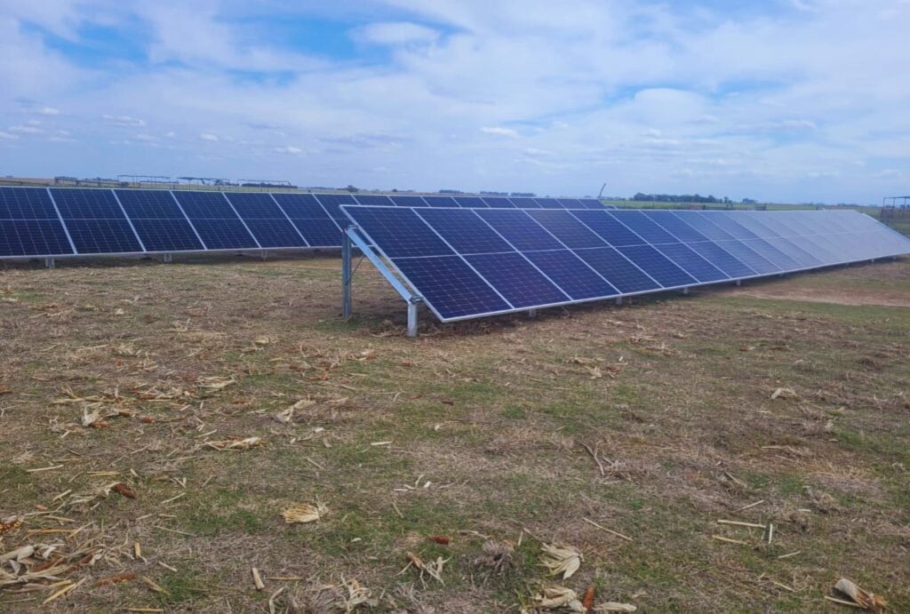 Un equipo del INTA Manfredi evaluó un sistema autónomo de riego por goteo enterrado en trigo, soja y maíz (INTA)