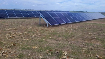 Riego solar: una innovación para llevar agua a los lotes donde no llega la electricidad