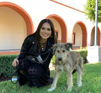 Ya tiene experiencia en concursos