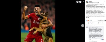 En la imagen se observa