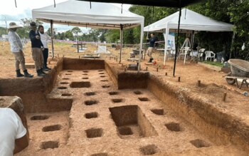 Unidad de Búsqueda recuperó 16