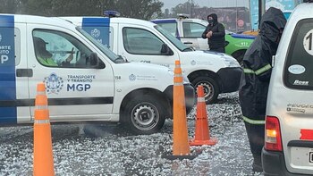 Los agentes de transporte y