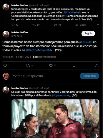 Néstor Núñez sería parte activa