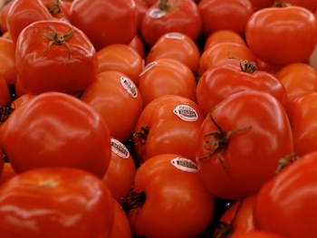 La sobreexpresión del gen CaCCS