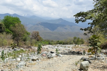 Sobrevivir a la sequía, las imágenes de agricultores que perdieron cultivos tras fuertes sequias en Guatemala