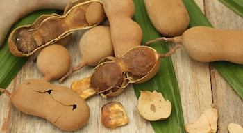 Esta bebida contiene fibra soluble, un nutriente que favorece el tránsito intestinal.
(Gobierno de México)
