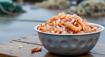 Cuenco metálico lleno de camarones cocidos sobre mesa de madera húmeda. Un camarón solitario en la mesa. Fondo desenfocado de puerto pesquero con redes.