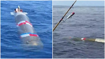 Torpedo localizado por pescadores en aguas de Ensenada. Crédito: Redes Sociales