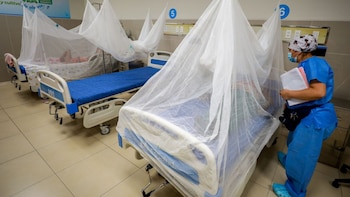 Dengue en Piura ha causado