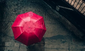 La jornada internacional visibiliza la