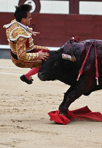 Caballero está en pronóstico grave
