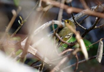 Luego del paso del huracán