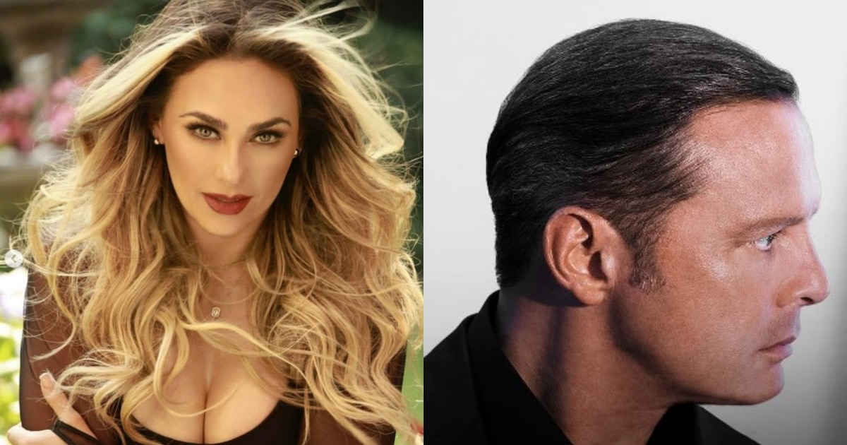 Aracely Arámbula provoca zafarrancho con la prensa tras recibir preguntas sobre Luis Miguel - Infobae
