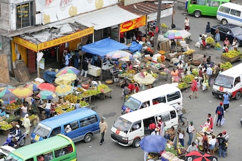 Fruit and vegetable stands at