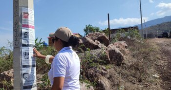 Además de la búsqueda por