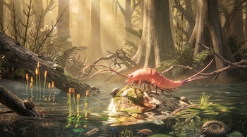 Artrópodo rosado sobre una roca emergida en un pantano, rodeado de plantas, troncos y pequeños fósiles acuáticos bajo rayos de luz.