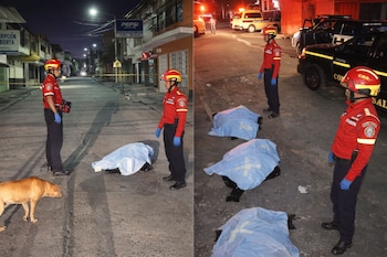 Díptico de noche: calle con dos rescatistas, un perro y un cuerpo cubierto. Otra escena con tres cuerpos cubiertos, un rescatista y vehículos de emergencia.
