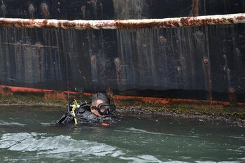 Los buzos tácticos son un