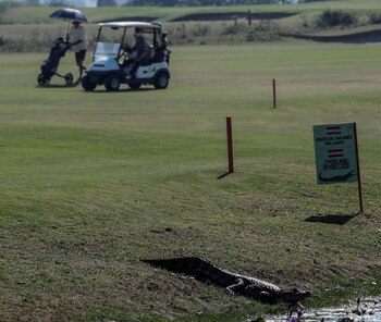 Los golfistas dicen haberse acostumbrado