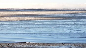 El mar congelado (Foto: gentileza