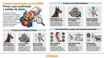 Infografía sobre el gusano barrenador. Muestra un mapa de CDMX, un perro dóberman, signos de alerta en una pata herida y consejos veterinarios.