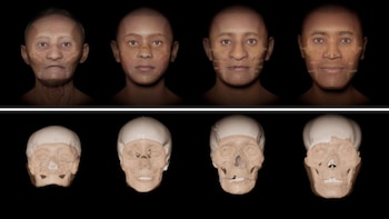 Evolución humana. (Imagen: Universidad John