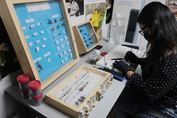 El uso de la herramienta