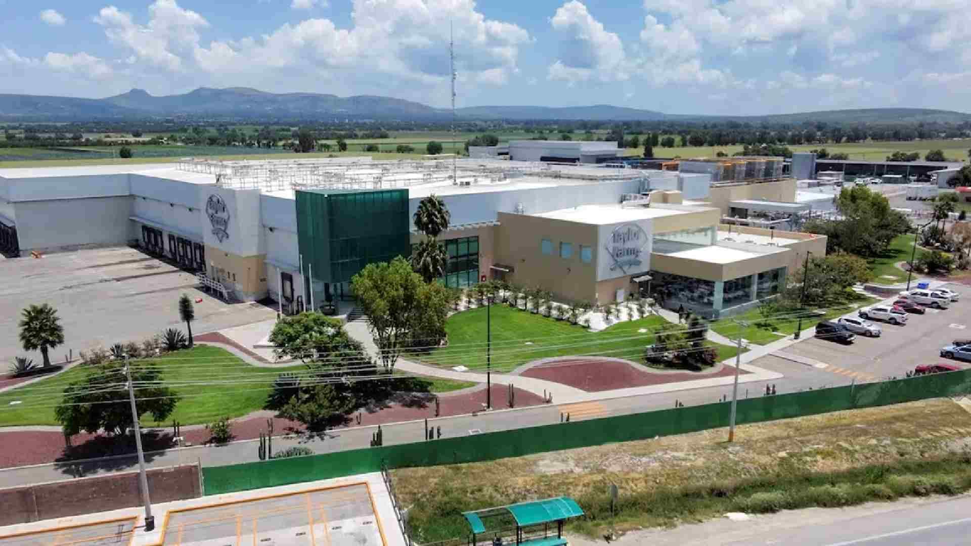 La gobernadora de Guanajuato espera que a la brevedad reabra Taylor Farms su planta ubicada en Doctor Mora.Crédito: Demian Sánchez / Reuters