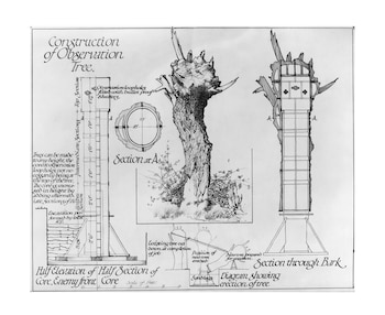 Árbol de camuflaje, árbol de observacion