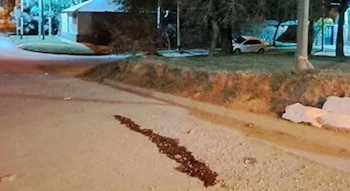 Una calle nocturna con un rastro oscuro en el suelo, acumulación de arena en el borde, vegetación y un automóvil blanco al fondo